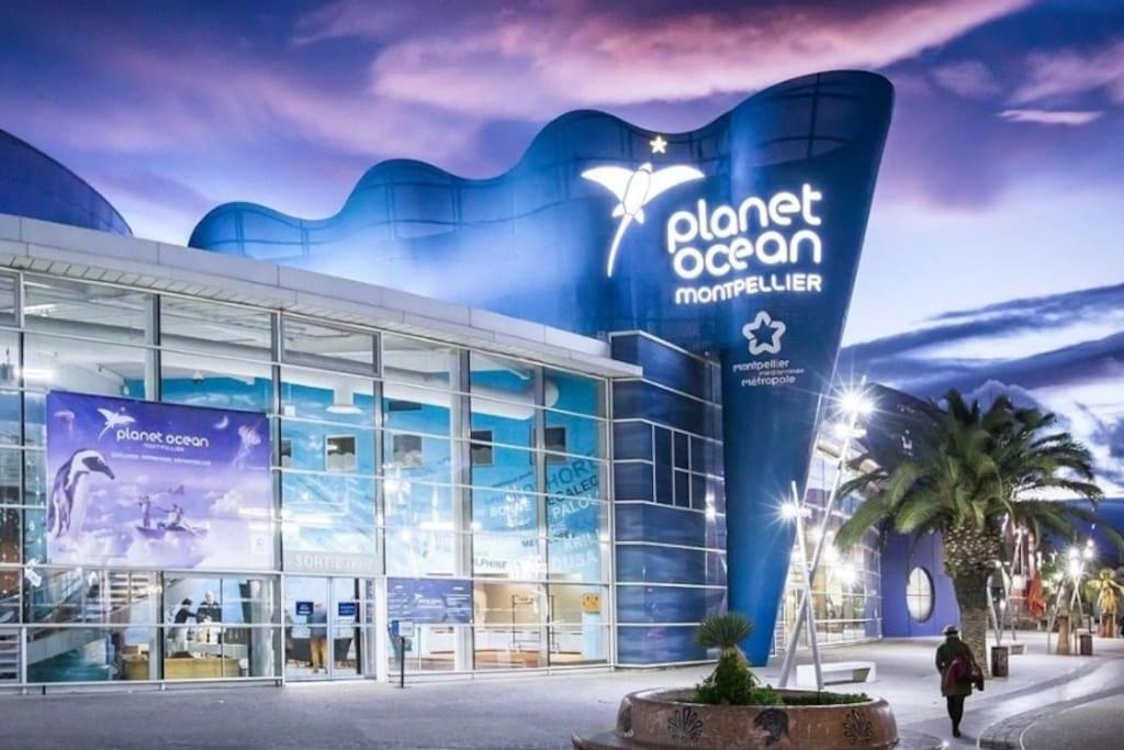 Confort Climatise Et Suite Privee En Sousplex Montpellier Extérieur photo