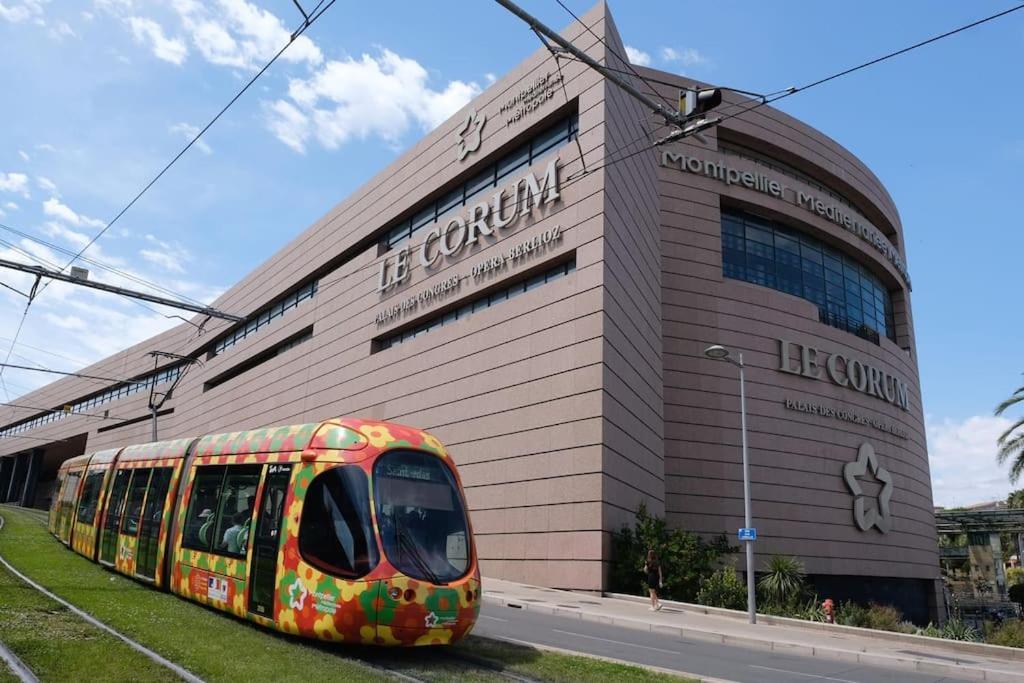 Confort Climatise Et Suite Privee En Sousplex Montpellier Extérieur photo